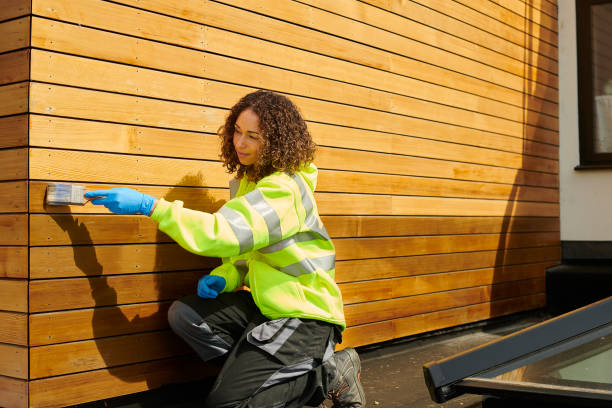 Best Vinyl Siding Installation  in Hawthorne, NV